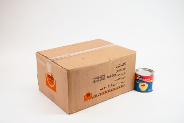 Noon Custard Tin 24 x 300g