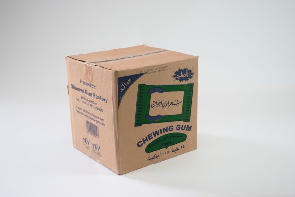 GUM SHarawi Fruit 24 x 100