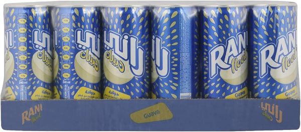 Rani Float Guava Fruit Drink 24 x 240ml